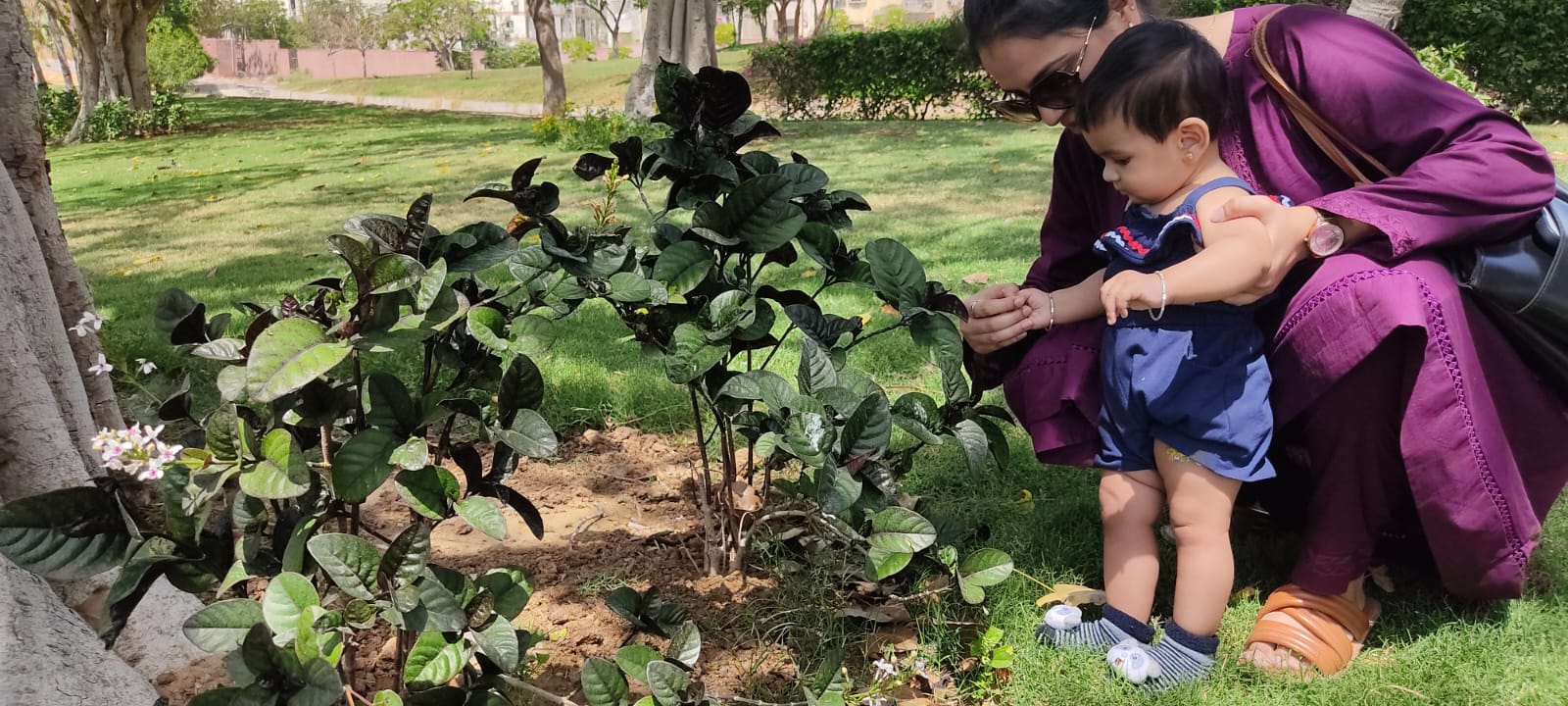 Nature walk Brain development Sensory development Activities for 0-12 months